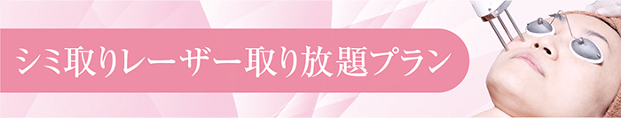 シミ取りレーザー取り放題プラン