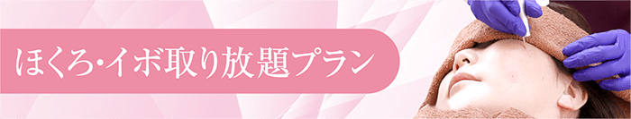 ほくろ・イボ取り放題プラン